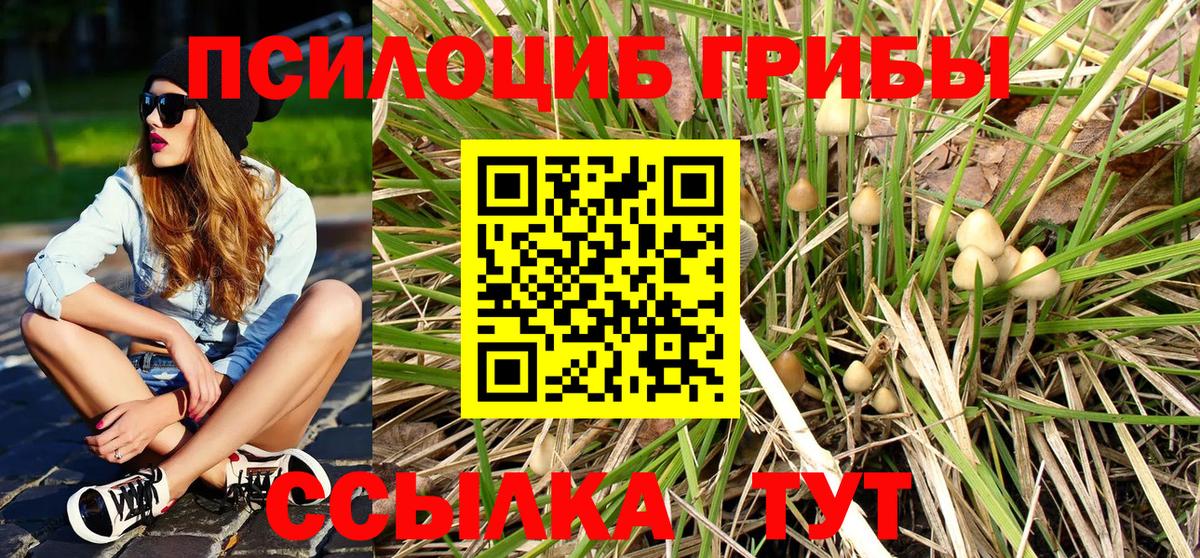Галлюциногенные грибы Psilocybe  Псилоцибиновые грибы MAGIC MUSHROOMS  Сызрань  Вход с VPN 